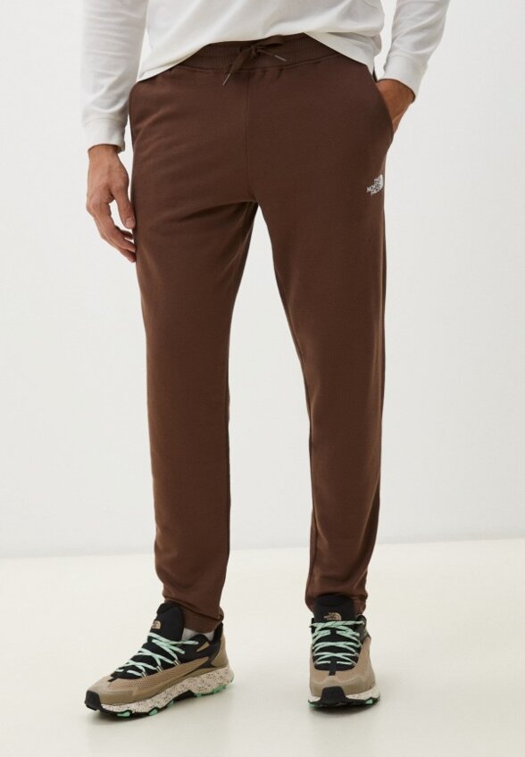 Брюки спортивные The North Face