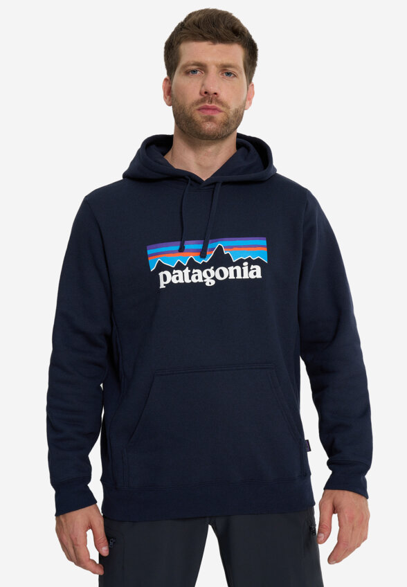 Худи мужское Patagonia Logo Uprisal, Синий