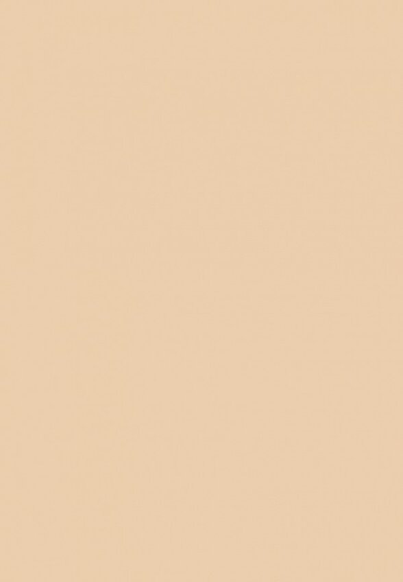 Пудра компактная Pupa