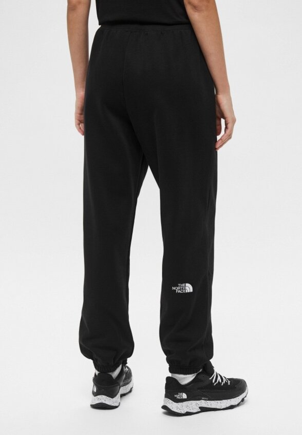 Брюки спортивные The North Face