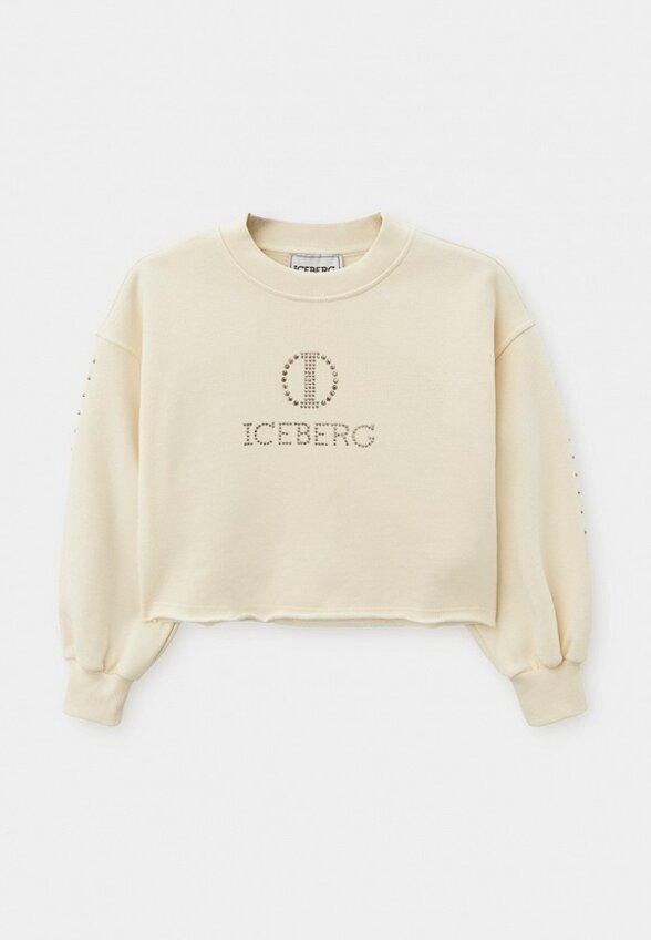 Свитшот Iceberg