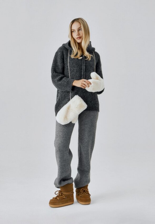 Луноходы Wysh