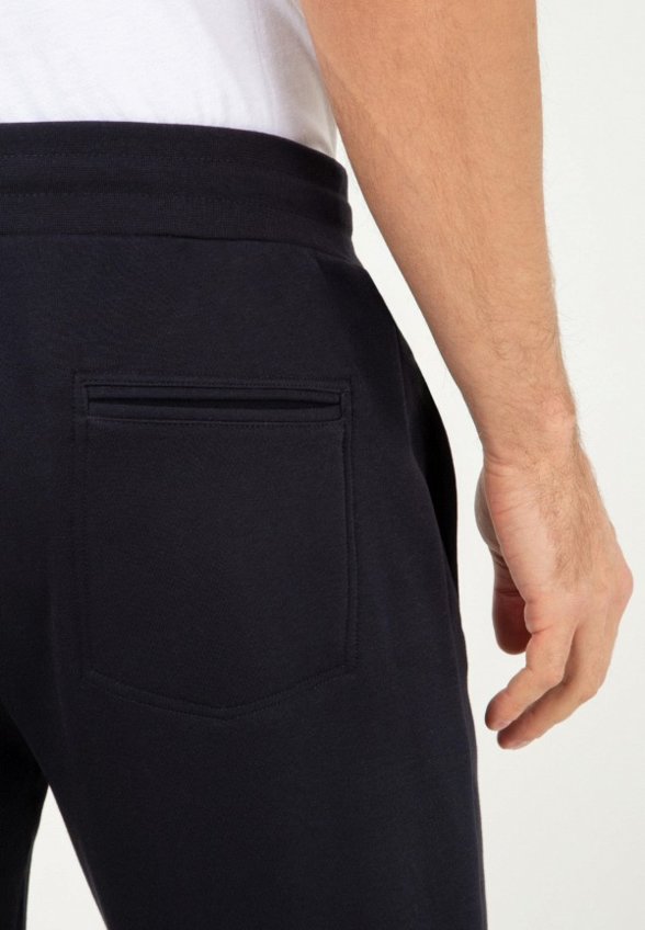 Брюки спортивные Thomas Berger