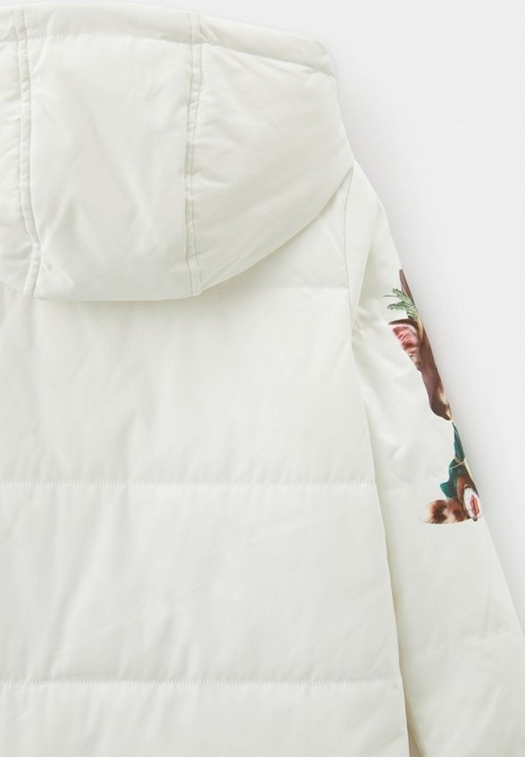 Куртка утепленная Fobs