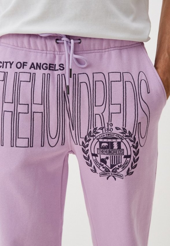 Брюки спортивные The Hundreds