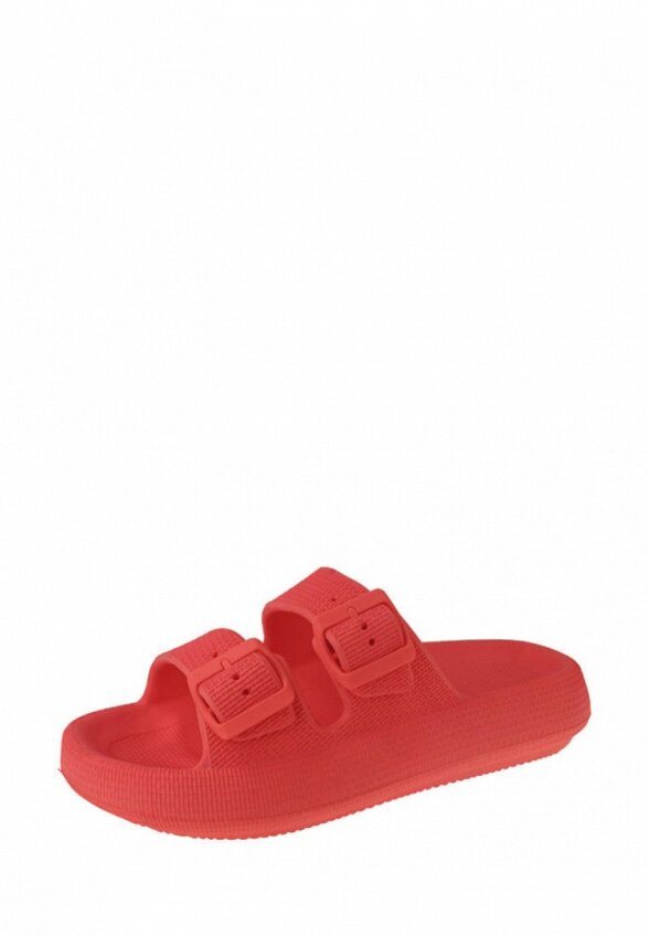 Сланцы De Fonseca