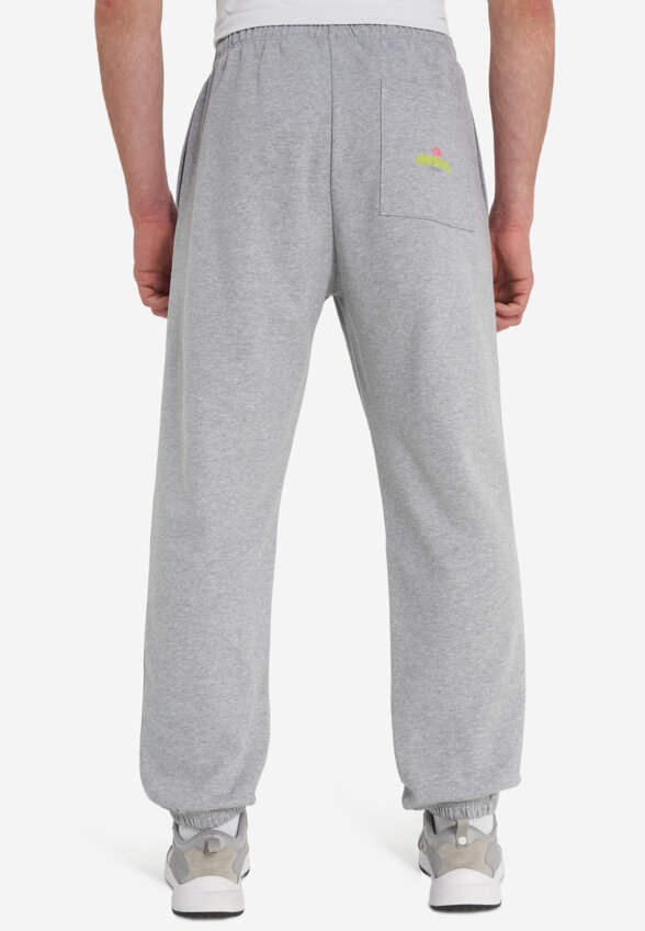 Брюки мужские The North Face Expedition Celebration, Серый