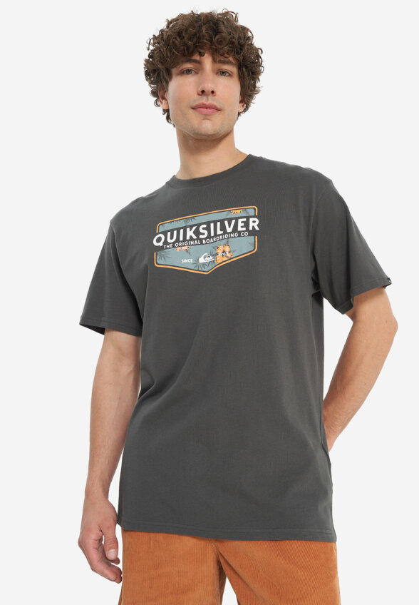 Футболка мужская Quiksilver Ultimate Classic, Серый
