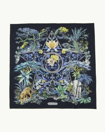 Dior Silk Scarf женщинам