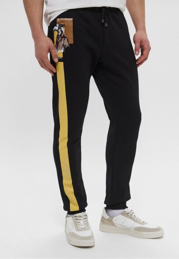 Брюки спортивные Trussardi