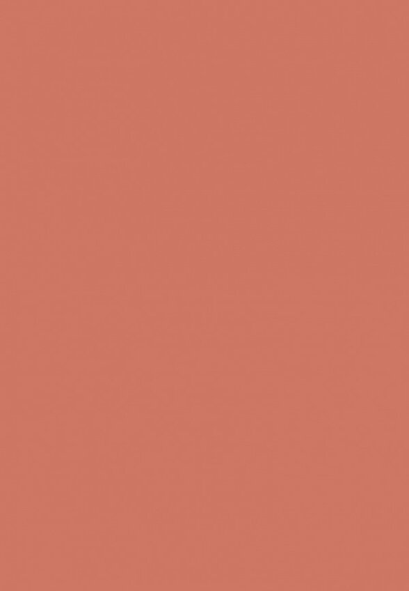 Помада Red Cookies