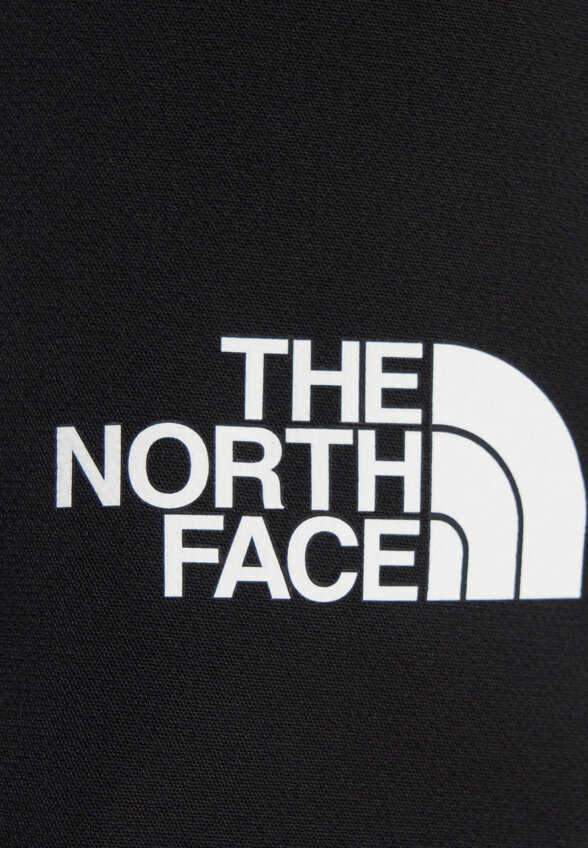 Брюки мужские The North Face M Diablo Reg, Черный