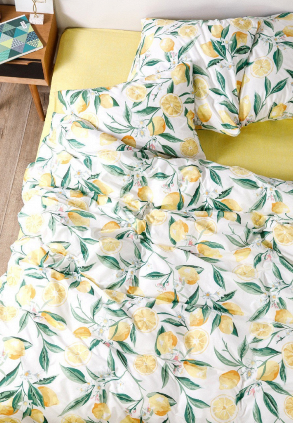 Постельное белье Евро Ночь нежна