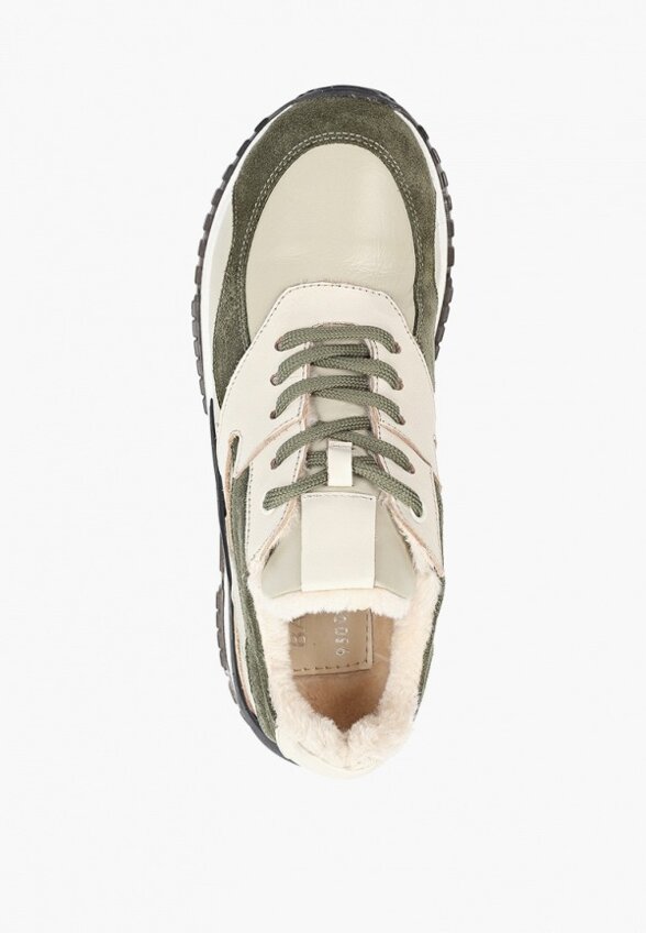 Кроссовки Basconi