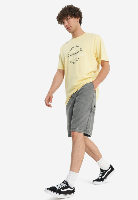 Шорты мужские оверсайз DC Shoes Carpenter Baggy, Серый