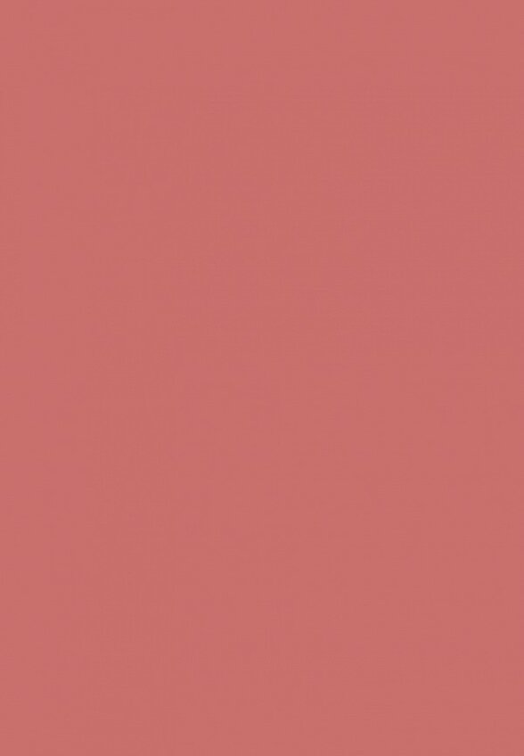 Румяна Influence Beauty