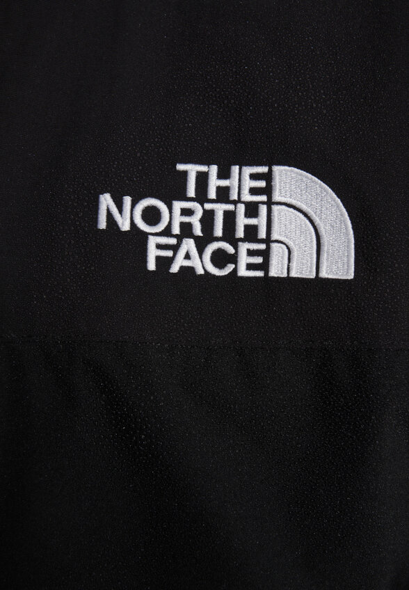 Куртка мембранная мужская The North Face Reign On, Черный