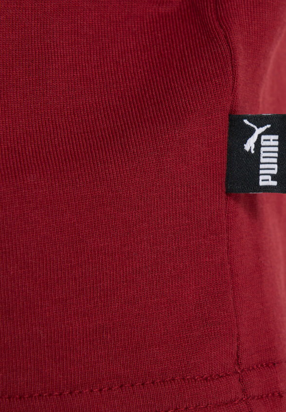 Футболка для мальчиков PUMA ESS+ Mid 90s Graphic, Красный