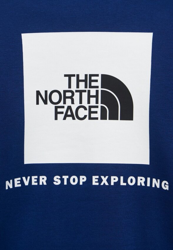Худи The North Face
