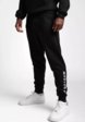 Брюки спортивные Boxraw1  - превью