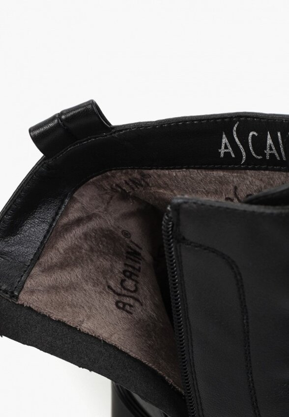 Ботильоны Ascalini