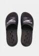 Сланцы Speedo4  - превью