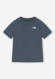 Футболка женская The North Face Evolution Box Nse Relaxed, Серый9  - превью