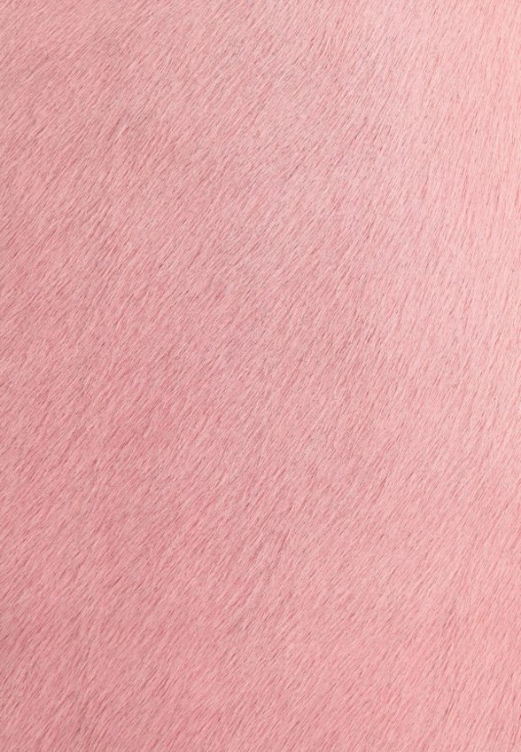 Сумка Passegiata