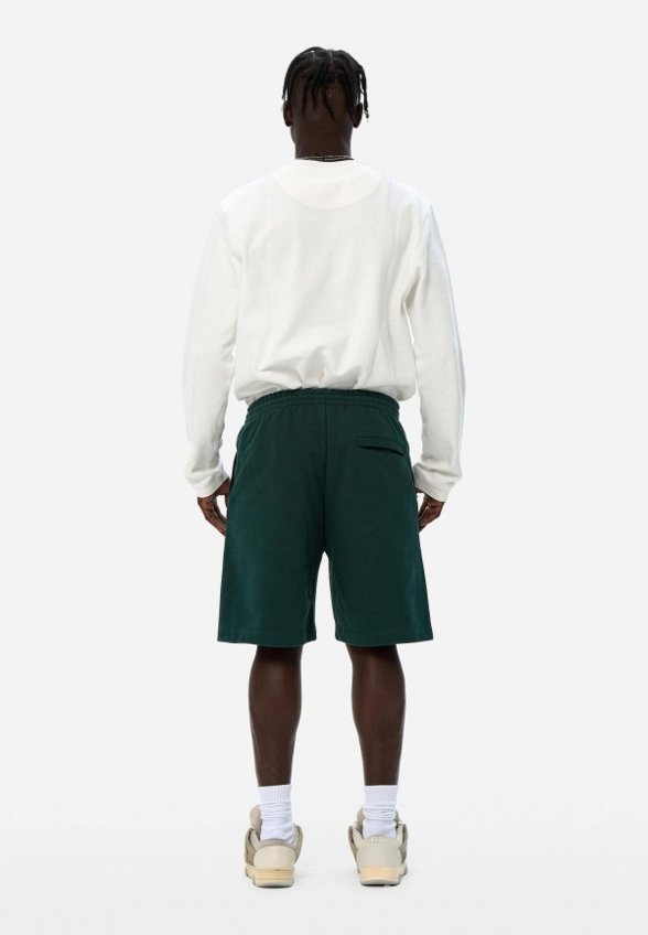 Шорты спортивные Frht