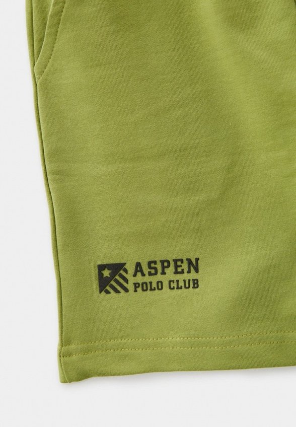 Шорты спортивные Aspen Polo Club