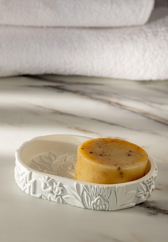 Мыльница DeNastia