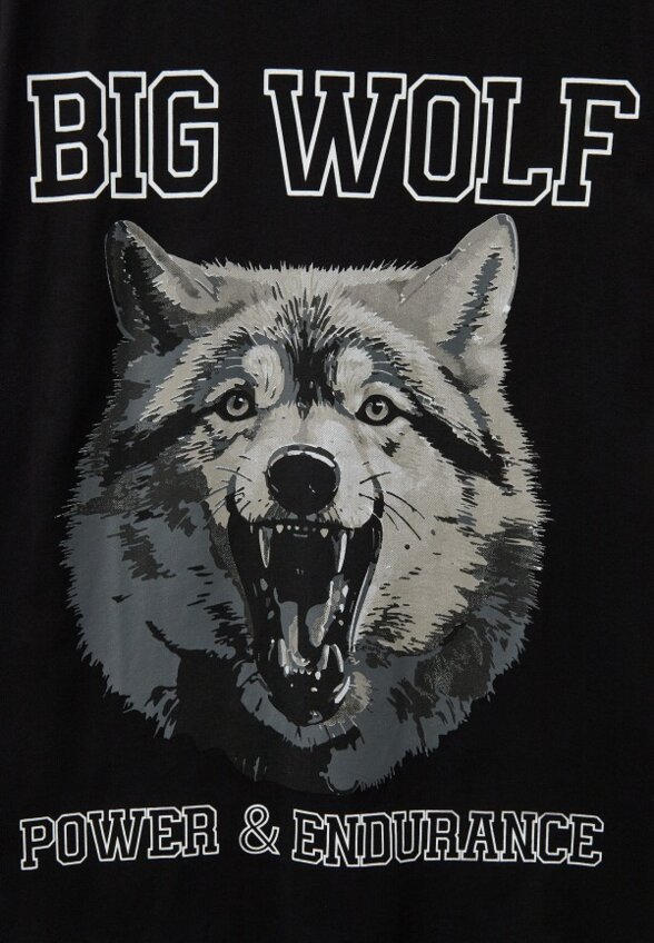 Футболка Mr Bigman