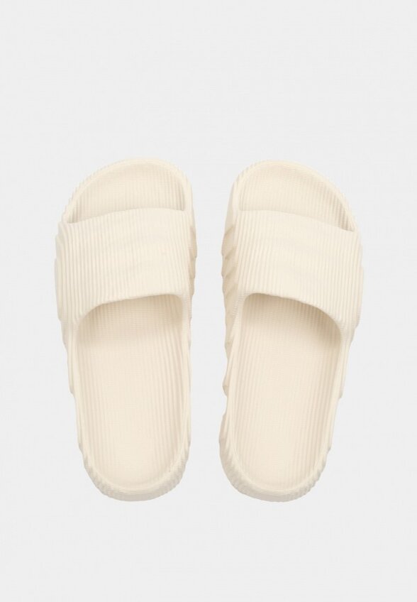 Сланцы Indefini