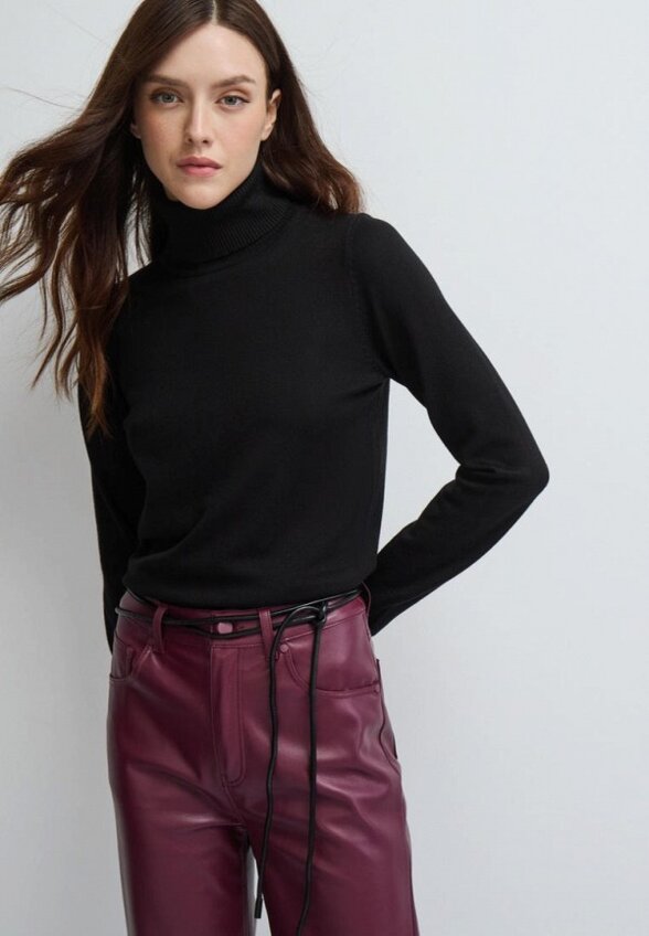 Водолазка Vittoria Vicci