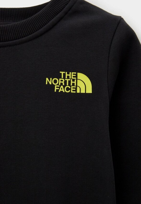 Свитшот The North Face