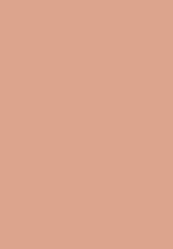 Пудра компактная Deborah