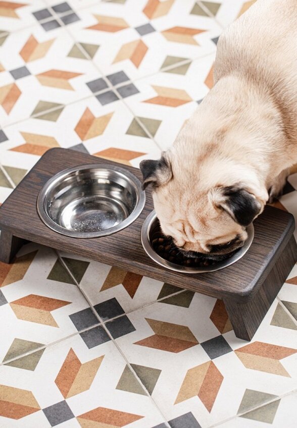 Миска Фоксвудрус