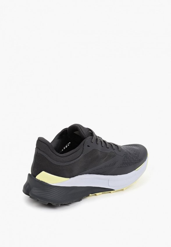 Кроссовки The North Face