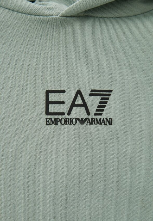 Худи EA7