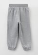 Брюки спортивные Котофей2  - превью