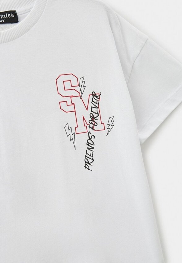 Футболка Stormies