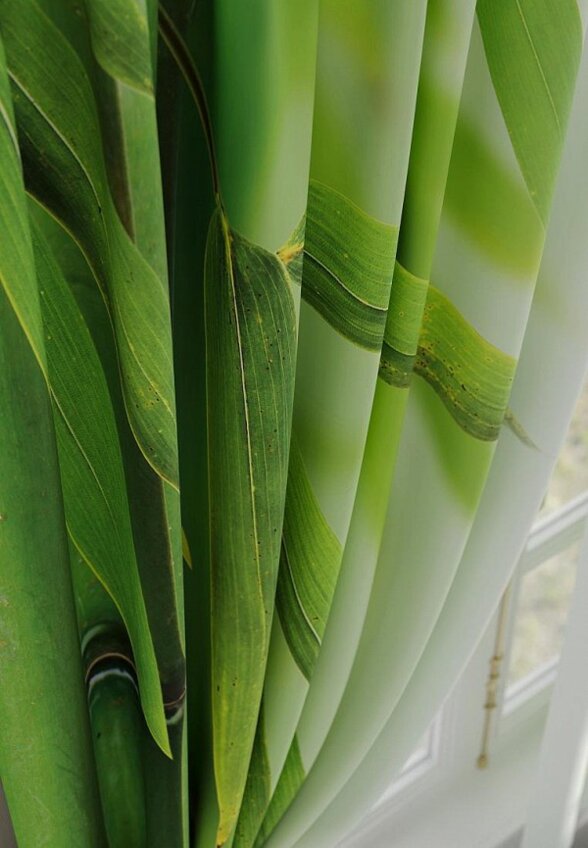 Шторы Comfy Way