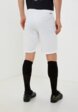 Шорты спортивные Demix3  - превью