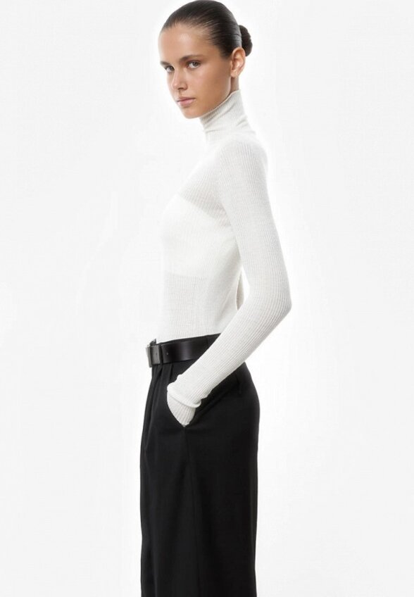 Водолазка Brusnika