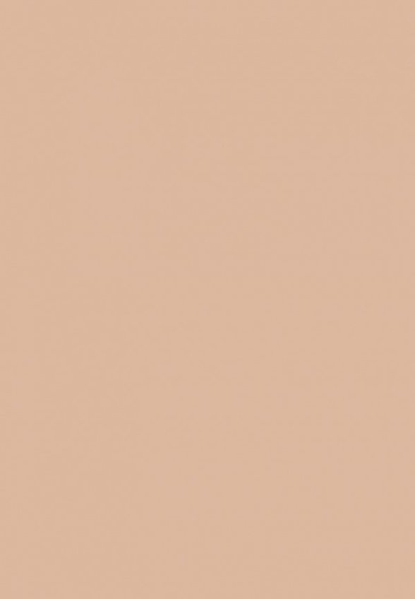 Пудра компактная L'Oreal Paris