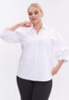 Блуза Артесса6  - превью
