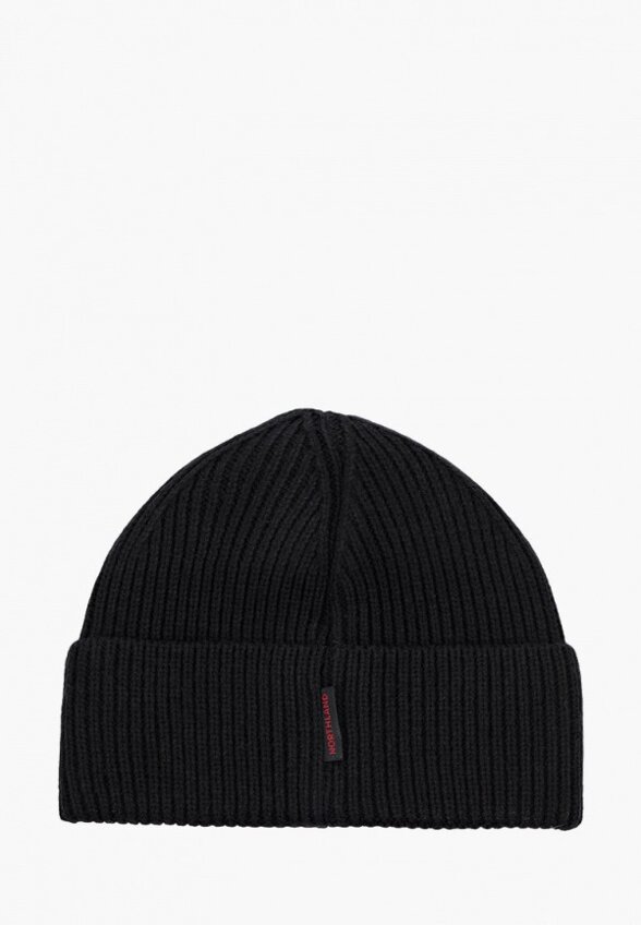 Шапка Northland