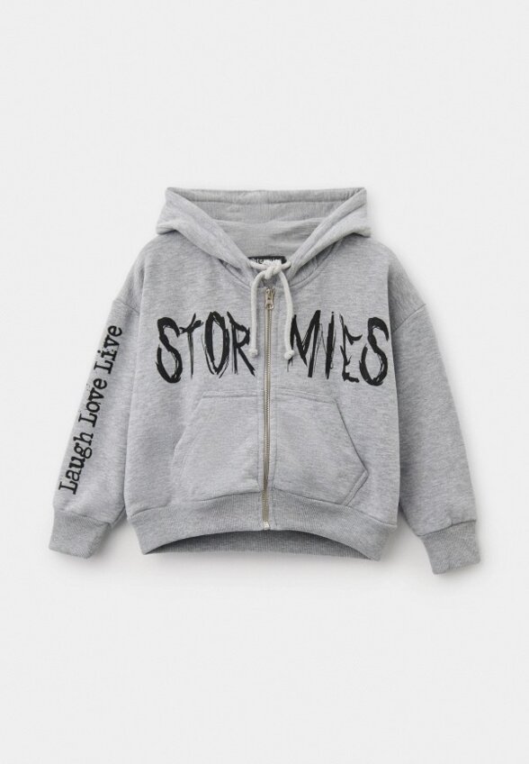 Толстовка Stormies