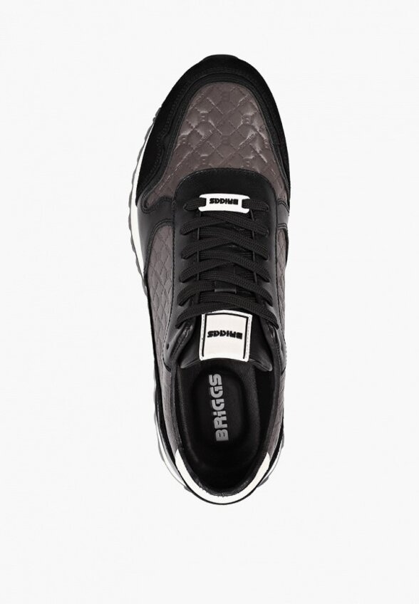 Кроссовки Briggs