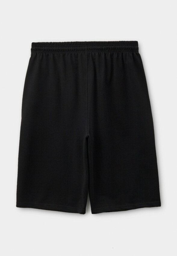 Шорты спортивные Mr Bigman